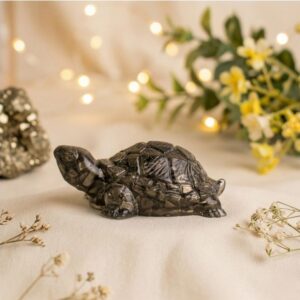 original pyrite tortoise
